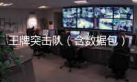 王牌突击队（含数据包）官方版