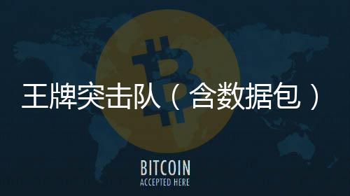王牌突击队（含数据包）官方版下载