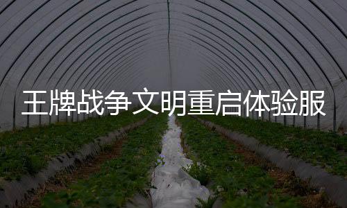 王牌战争文明重启体验服下载
