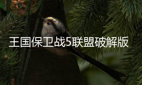 王国保卫战5联盟破解版下载