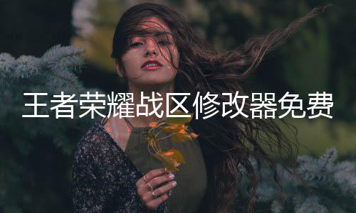 王者荣耀战区修改器免费下载