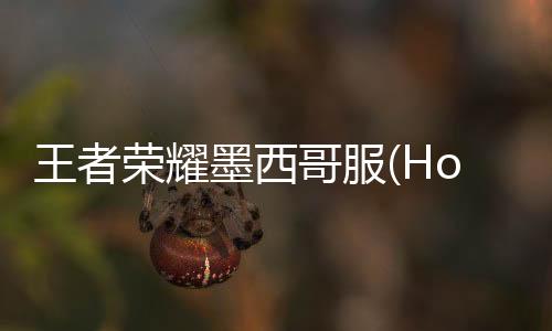 王者荣耀墨西哥服(Honor of Kings)下载