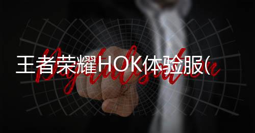 王者荣耀HOK体验服(Honor of Kings-Beta)官方版下载