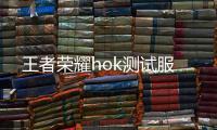 王者荣耀hok测试服