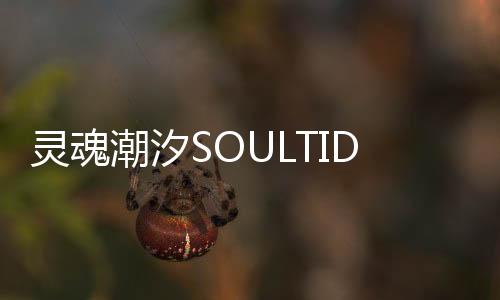 灵魂潮汐SOULTIDE熔心测试下载