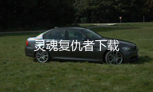 灵魂复仇者下载下载