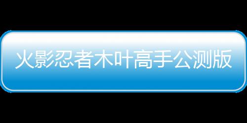 火影忍者木叶高手公测版下载