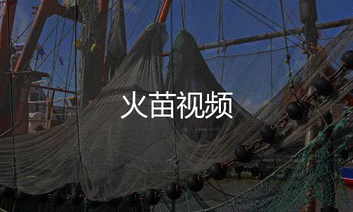 火苗视频下载