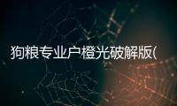 狗粮专业户橙光破解版(狗粮专业户 主编fake)