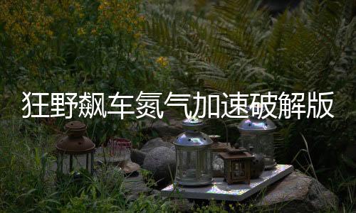 狂野飙车氮气加速破解版下载