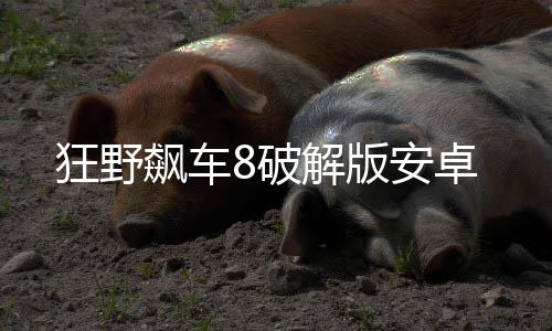 狂野飙车8破解版安卓下载