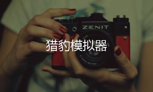 猎豹模拟器下载