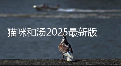 猫咪和汤2025最新版下载