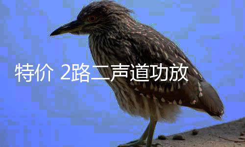 特价 2路二声道功放 汽车音响改装功放发烧车载功放推低音炮喇叭下载