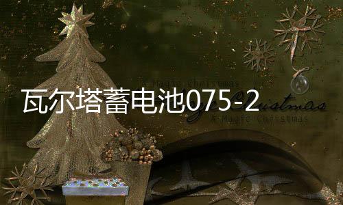 瓦尔塔蓄电池075-20适配途观迈腾帕萨特凯迪拉克汽车电瓶 银标下载