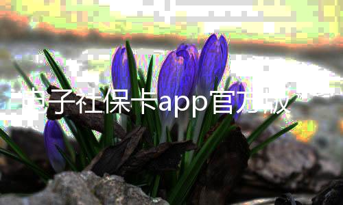 电子社保卡app官方版下载