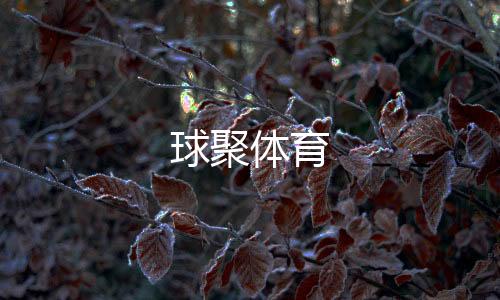 球聚体育下载