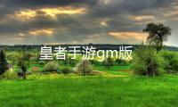 皇者手游gm版