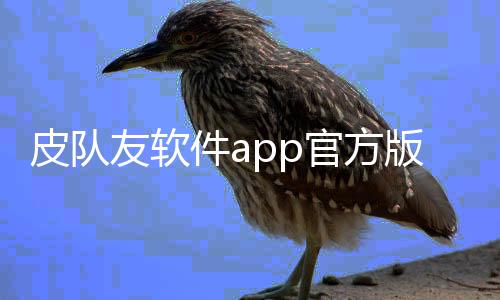 皮队友软件app官方版下载下载