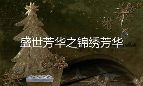 盛世芳华之锦绣芳华下载