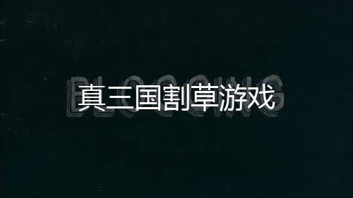 真三国割草游戏下载