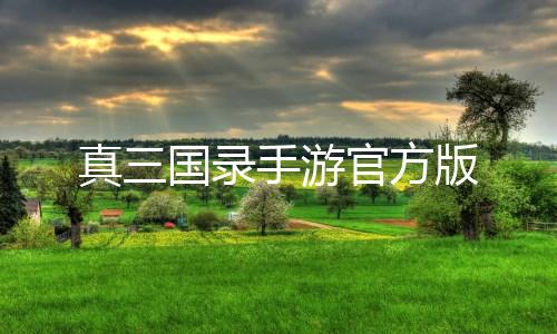 真三国录手游官方版下载