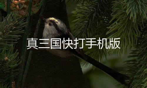 真三国快打手机版下载