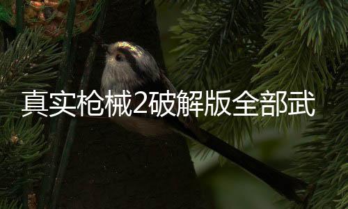 真实枪械2破解版全部武器下载