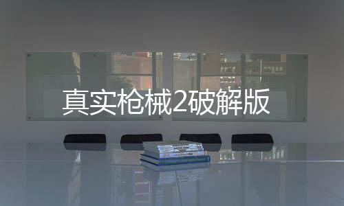 真实枪械2破解版下载