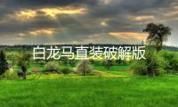白龙马直装破解版