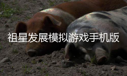 祖星发展模拟游戏手机版下载