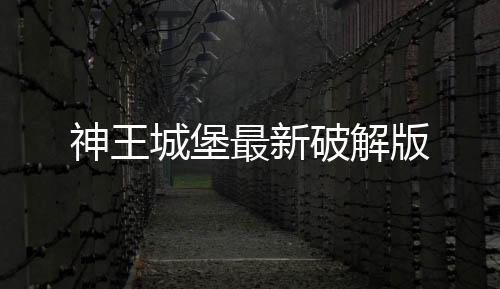 神王城堡最新破解版下载