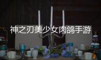 神之刃美少女肉鸽手游