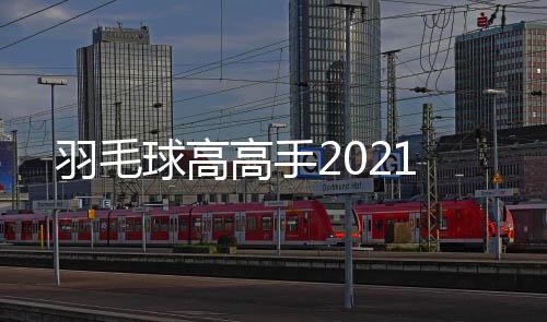 羽毛球高高手2021下载