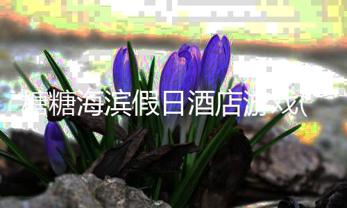糖糖海滨假日酒店游戏(糖糖假日)下载