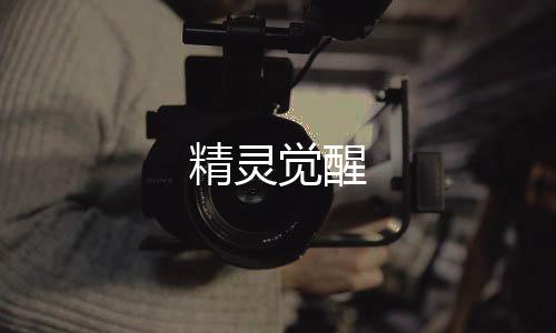 精灵觉醒下载