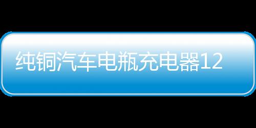 纯铜汽车电瓶充电器12V24V伏大功率全智能充满自动停通用型多功能下载