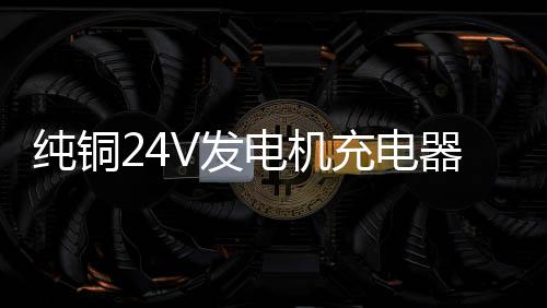纯铜24V发电机充电器12V叉车货车通用大功率蓄电池电瓶汽车充电器下载