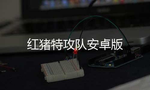 红猪特攻队安卓版下载
