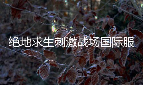 绝地求生刺激战场国际服(PUBG MOBILE)下载