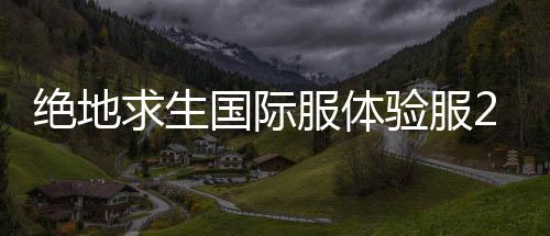 绝地求生国际服体验服2025最新版下载
