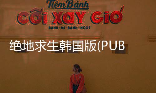 绝地求生韩国版(PUBG Mobile KR)下载