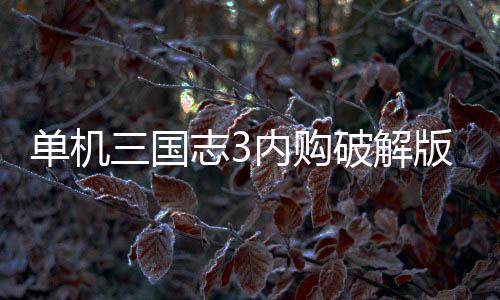 单机三国志3内购破解版下载