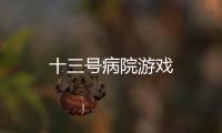 十三号病院游戏