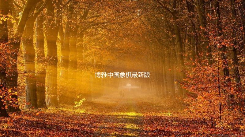 博雅中国象棋最新版下载