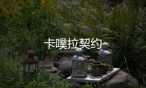 卡噗拉契约下载