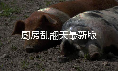 厨房乱翻天最新版下载