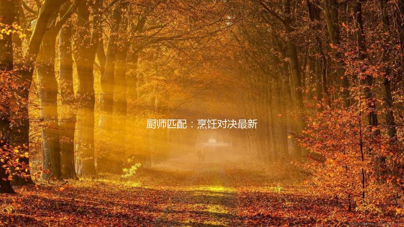 厨师匹配：烹饪对决最新版下载