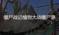 僵尸战记植物大战僵尸原版