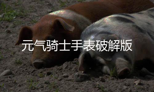 元气骑士手表破解版下载